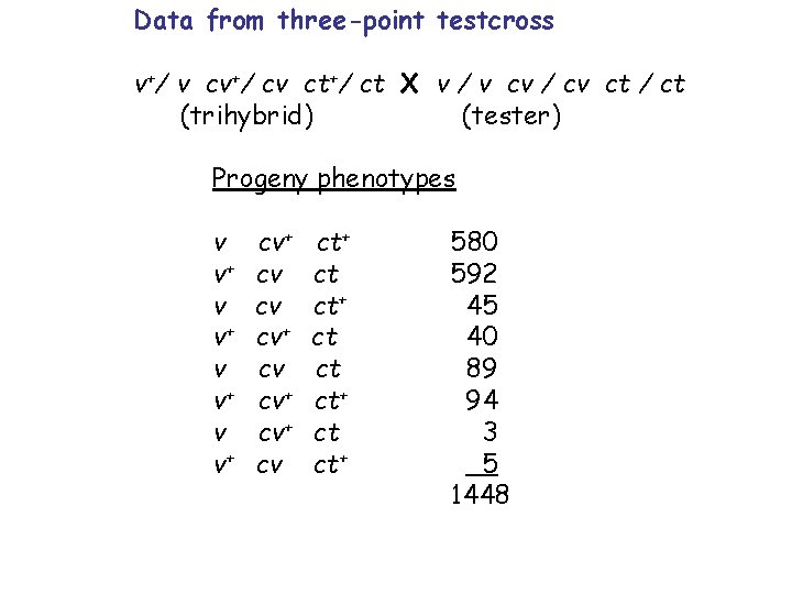 Data from three-point testcross v+/ v cv+/ cv ct+/ ct X v / v