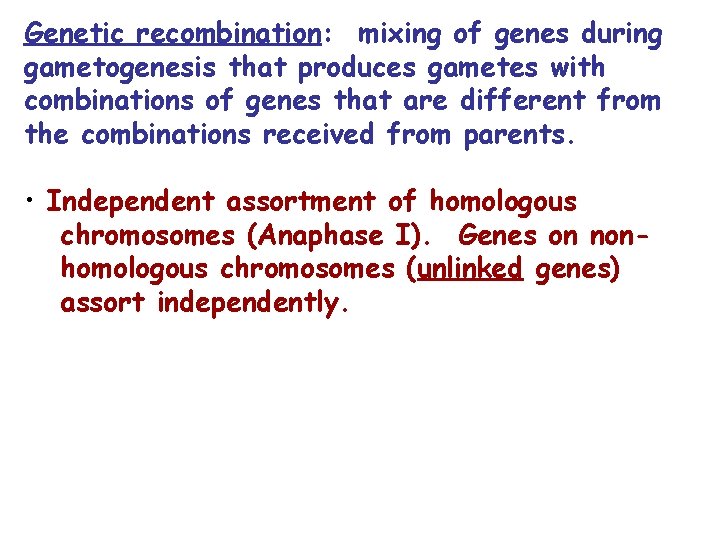 Genetic recombination: mixing of genes during gametogenesis that produces gametes with combinations of genes