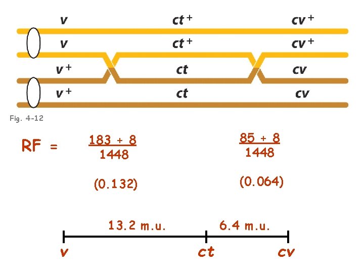 Fig. 4 -12 RF = 183 + 8 1448 85 + 8 1448 (0.