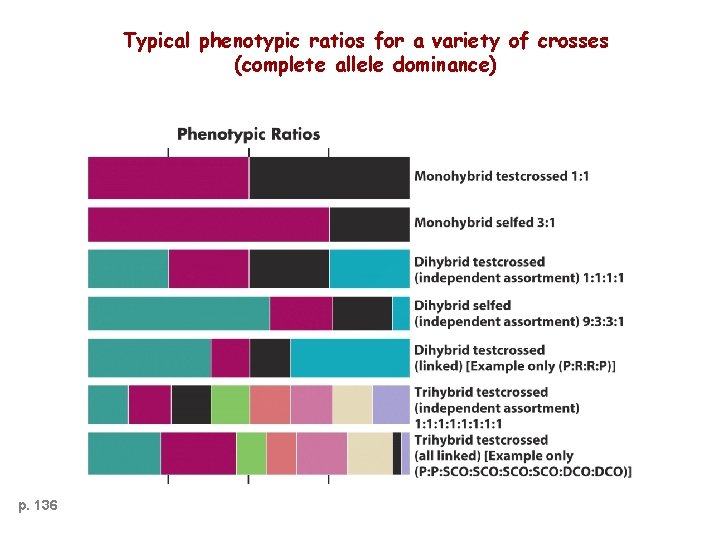 Typical phenotypic ratios for a variety of crosses (complete allele dominance) p. 136 