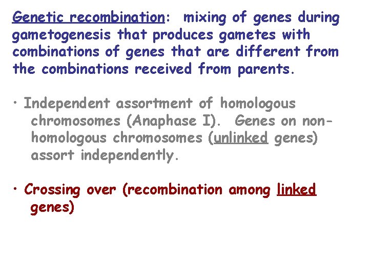 Genetic recombination: mixing of genes during gametogenesis that produces gametes with combinations of genes