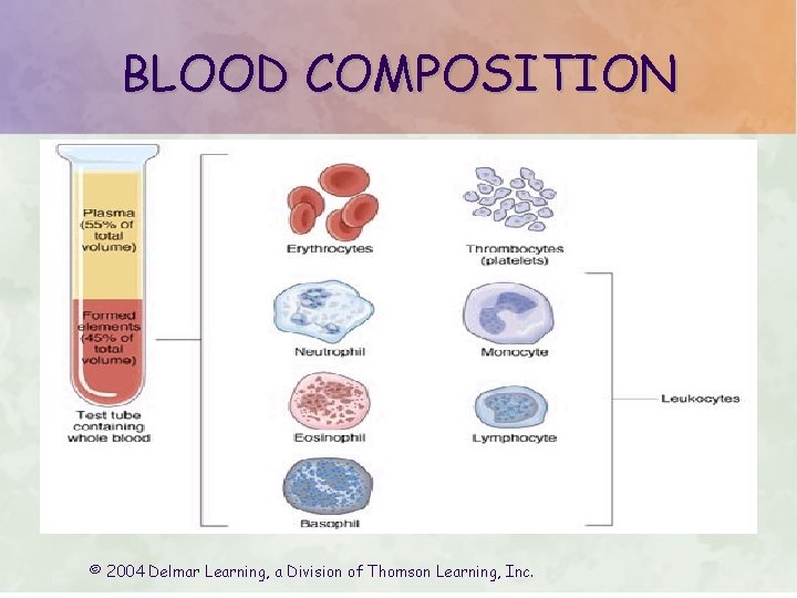 BLOOD COMPOSITION © 2004 Delmar Learning, a Division of Thomson Learning, Inc. 