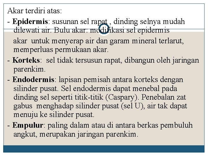 Akar terdiri atas: - Epidermis: susunan sel rapat , dinding selnya mudah dilewati air.