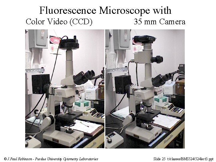 Fluorescence Microscope with Color Video (CCD) © J. Paul Robinson - Purdue University Cytometry