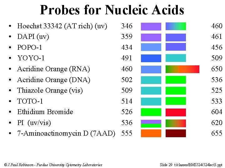 Probes for Nucleic Acids • • • Hoechst 33342 (AT rich) (uv) DAPI (uv)