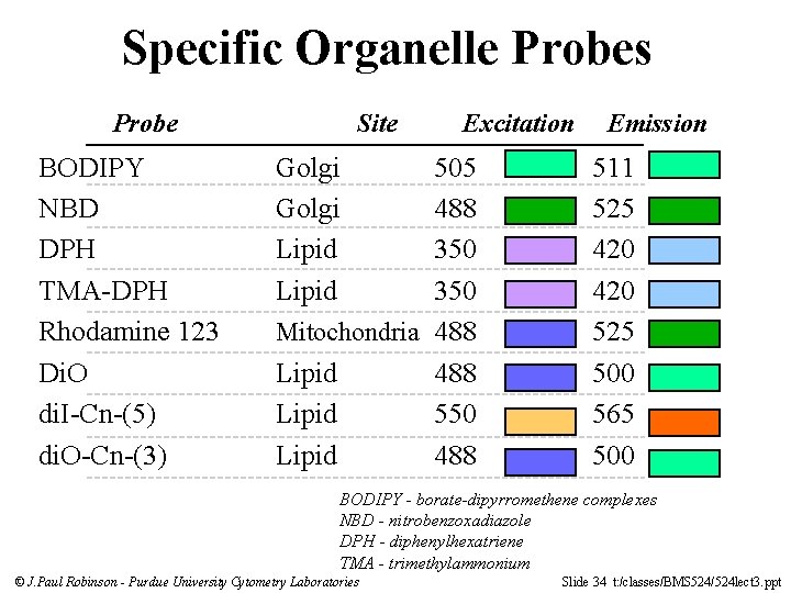 Specific Organelle Probes Probe BODIPY NBD DPH TMA-DPH Rhodamine 123 Di. O di. I-Cn-(5)