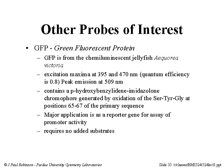 Other Probes of Interest • GFP - Green Fluorescent Protein – GFP is from