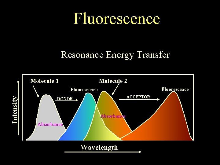Fluorescence Resonance Energy Transfer Molecule 1 Molecule 2 Fluorescence Intensity Fluorescence ACCEPTOR DONOR Absorbance