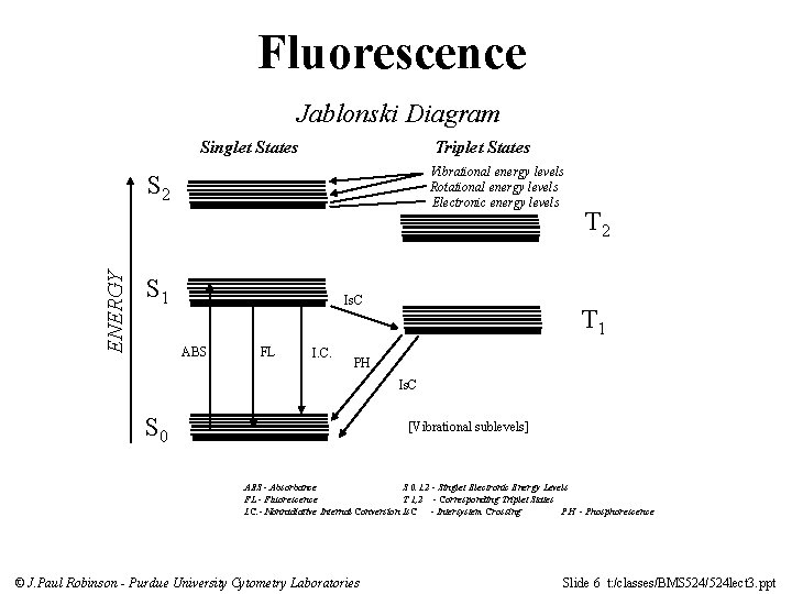 Fluorescence Jablonski Diagram Singlet States Triplet States Vibrational energy levels Rotational energy levels Electronic