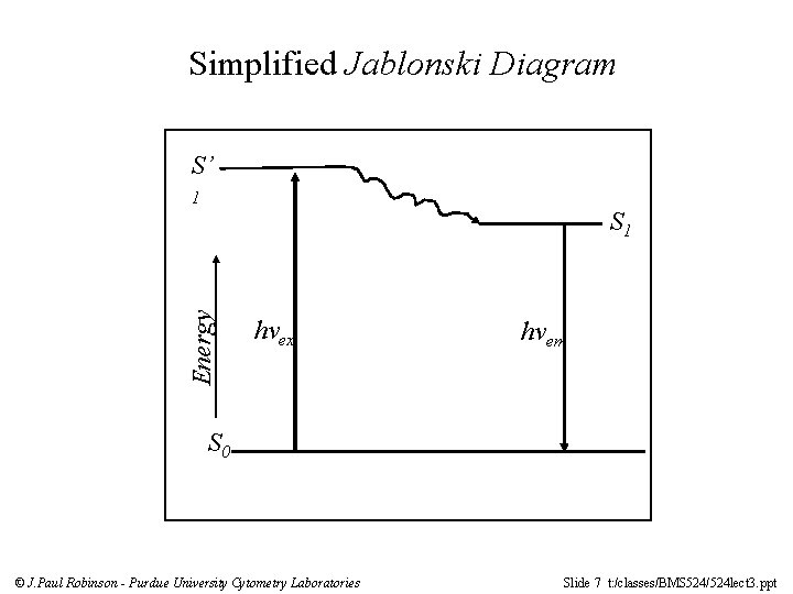 Simplified Jablonski Diagram S’ 1 Energy S 1 hvex hvem S 0 © J.