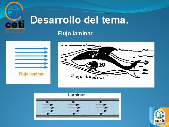 Desarrollo del tema. Flujo laminar. 