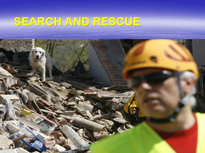  SEARCH AND RESCUE 