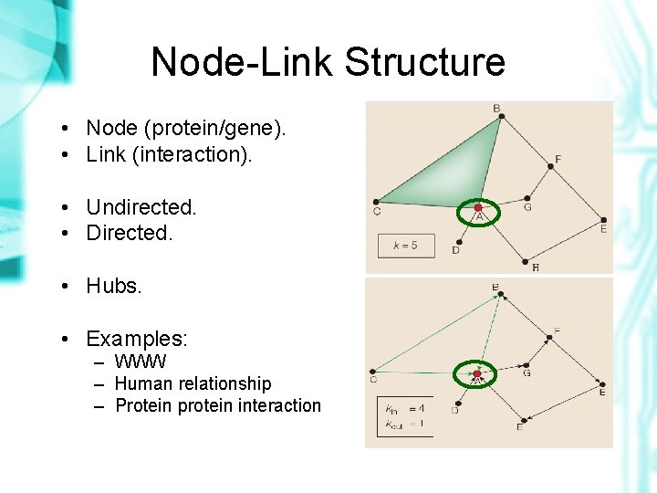 Node-Link Structure • Node (protein/gene). • Link (interaction). • Undirected. • Directed. • Hubs.