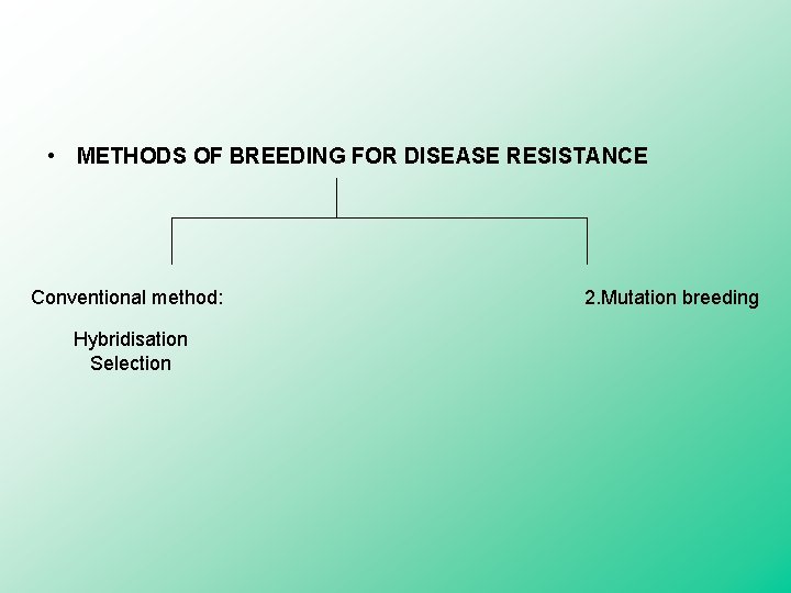  • METHODS OF BREEDING FOR DISEASE RESISTANCE Conventional method: Hybridisation Selection 2. Mutation
