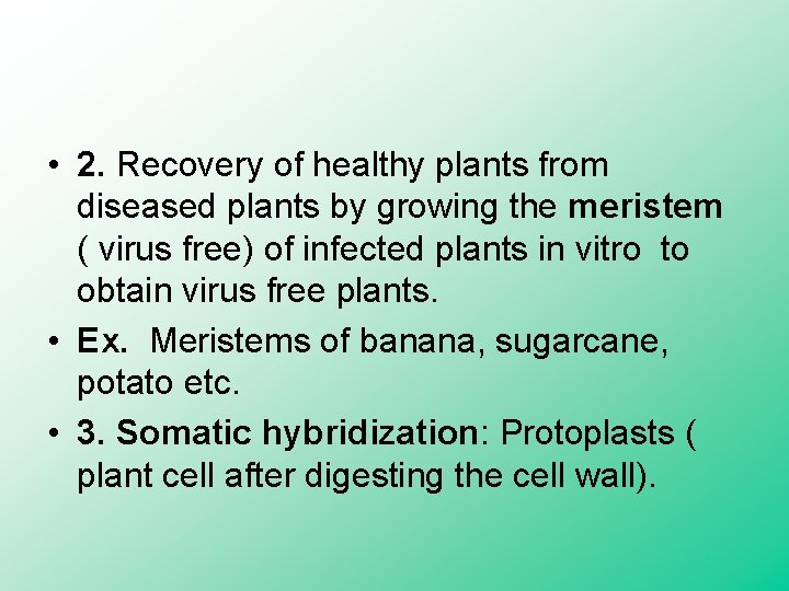  • 2. Recovery of healthy plants from diseased plants by growing the meristem