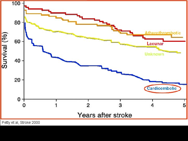 Petty et al, Stroke 2000 