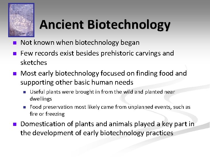 Ancient Biotechnology n n n Not known when biotechnology began Few records exist besides