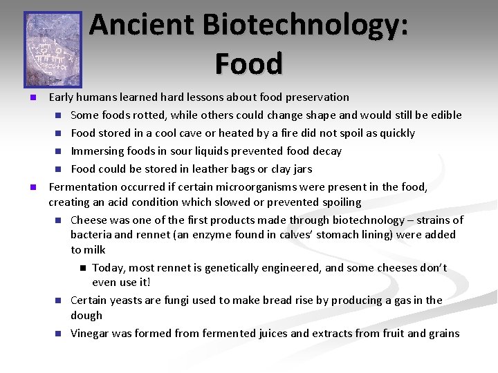 Ancient Biotechnology: Food n n Early humans learned hard lessons about food preservation n