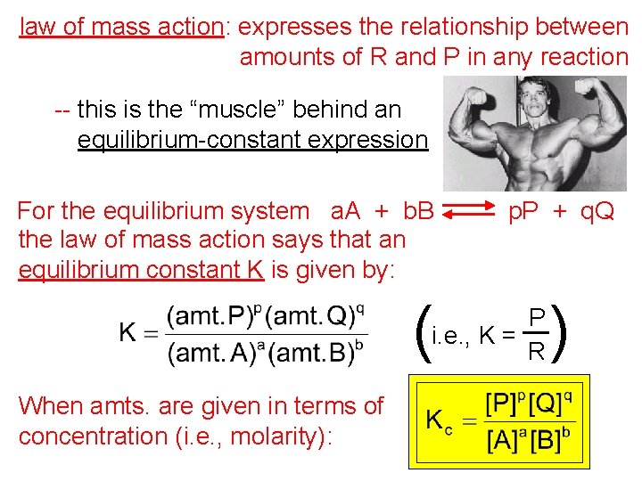 law of mass action: expresses the relationship between amounts of R and P in