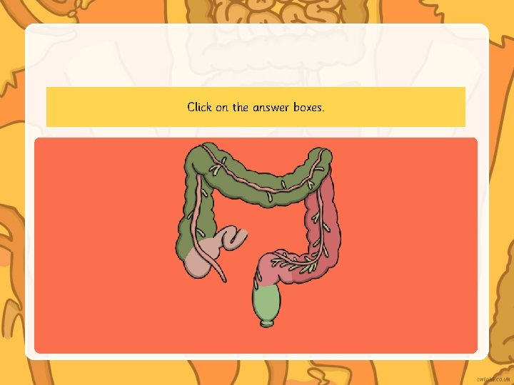 Click on the answer boxes. Click on the answer boxes.