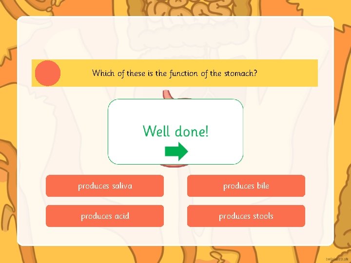 Which of these is the function of the stomach? produces saliva produces bile produces Which of these is the function of the stomach? produces saliva produces bile produces
