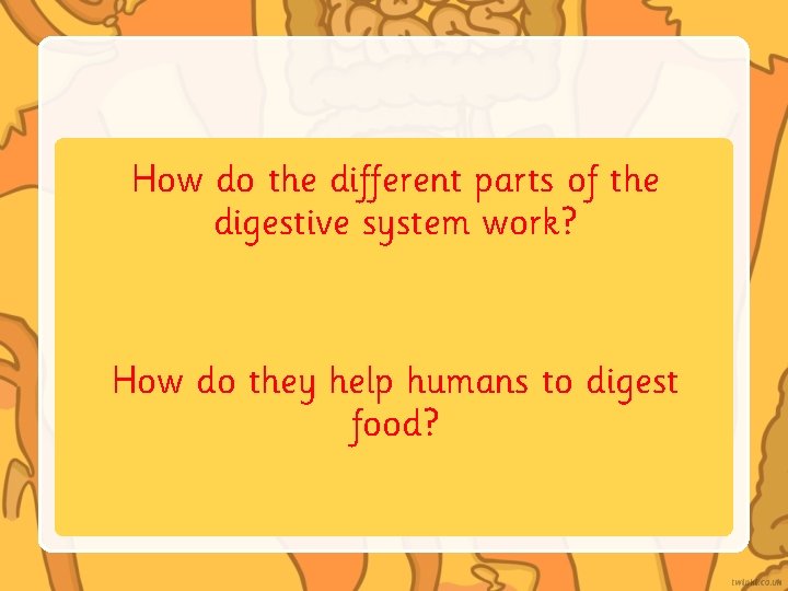 How do the different parts of the digestive system work? How do they help How do the different parts of the digestive system work? How do they help