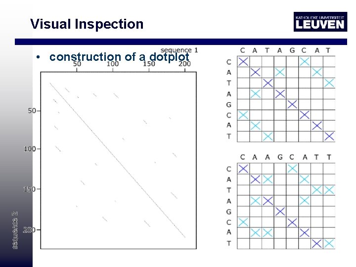 Visual Inspection • construction of a dotplot 