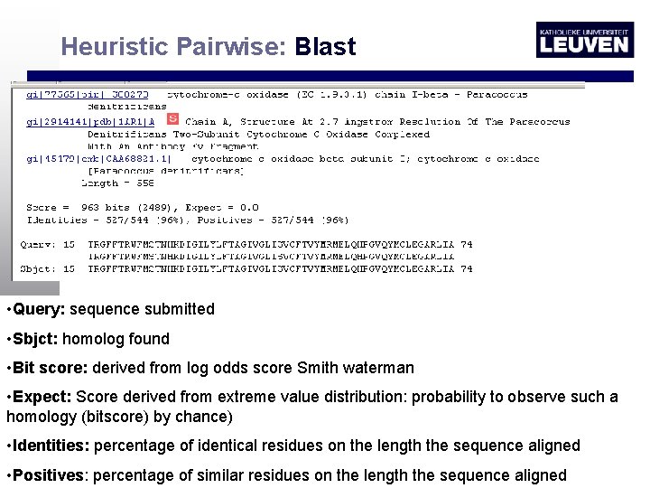 Heuristic Pairwise: Blast • Query: sequence submitted • Sbjct: homolog found • Bit score: