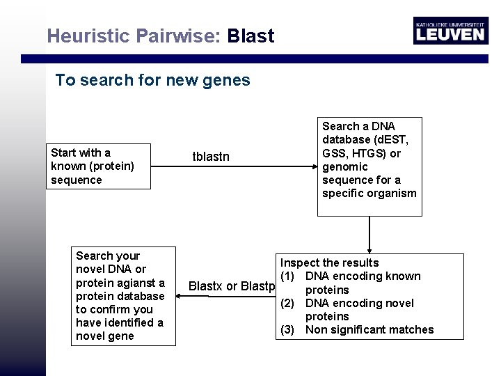 Heuristic Pairwise: Blast To search for new genes Start with a known (protein) sequence