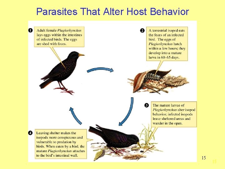 Parasites That Alter Host Behavior 15 15 
