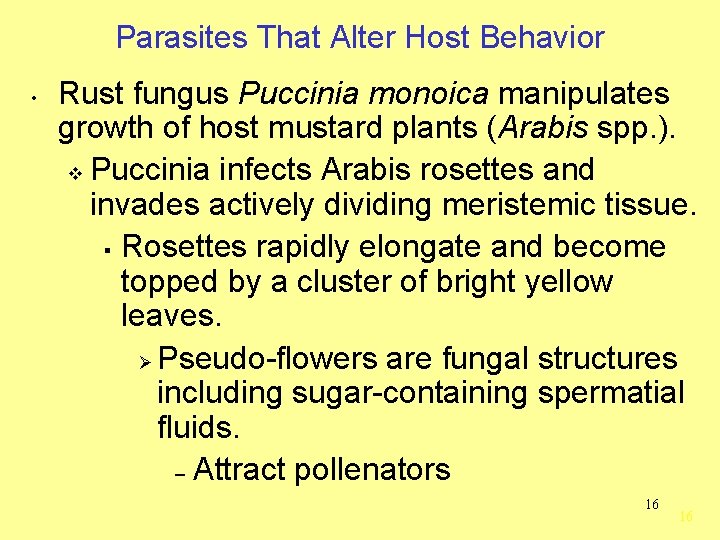 Parasites That Alter Host Behavior • Rust fungus Puccinia monoica manipulates growth of host
