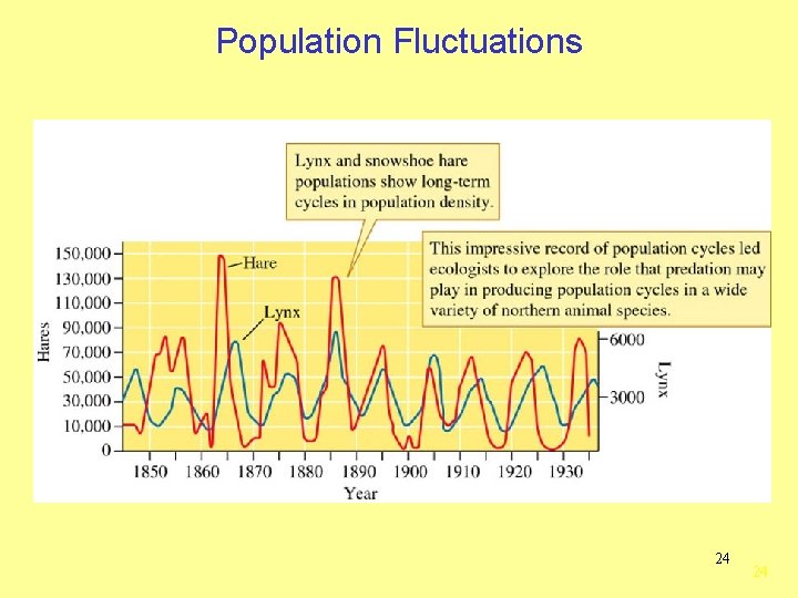 Population Fluctuations 24 24 