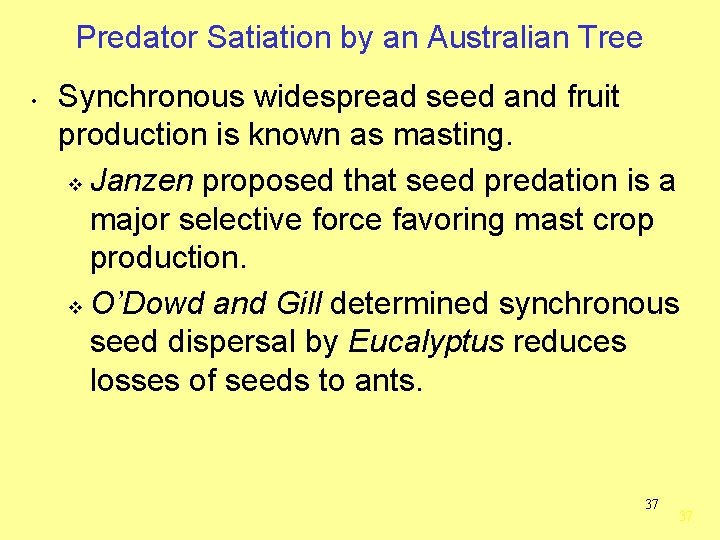 Predator Satiation by an Australian Tree • Synchronous widespread seed and fruit production is