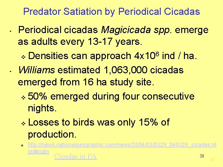 Predator Satiation by Periodical Cicadas • • Periodical cicadas Magicicada spp. emerge as adults
