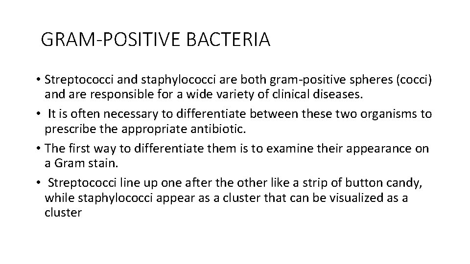 GRAM-POSITIVE BACTERIA • Streptococci and staphylococci are both gram-positive spheres (cocci) and are responsible