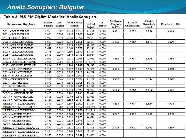 Analiz Sonuçları: Bulgular 