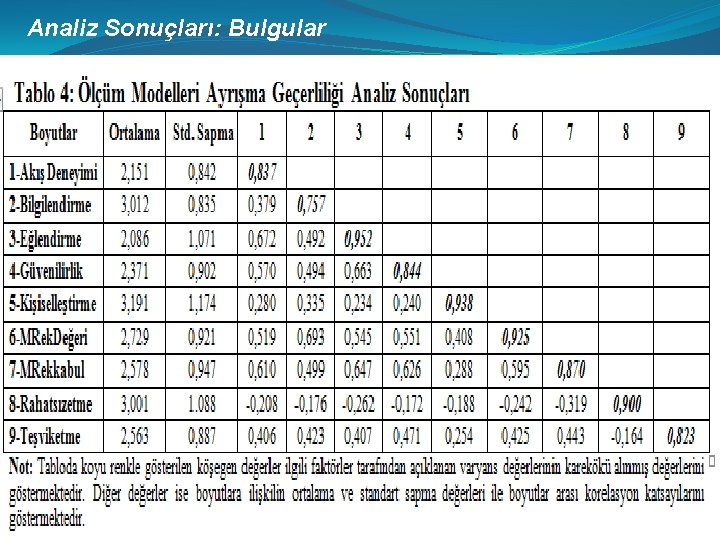 Analiz Sonuçları: Bulgular 