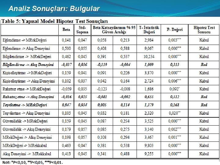 Analiz Sonuçları: Bulgular 