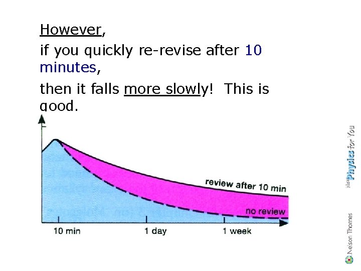 However, if you quickly re-revise after 10 minutes, then it falls more slowly! This