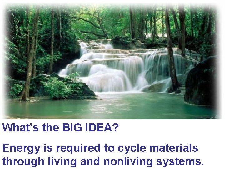 What’s the BIG IDEA? Energy is required to cycle materials through living and nonliving