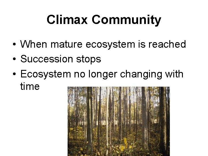 Climax Community • When mature ecosystem is reached • Succession stops • Ecosystem no
