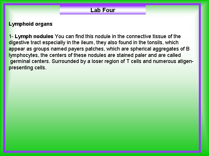 Lab Four Lymphoid organs 1 - Lymph nodules You can find this nodule in