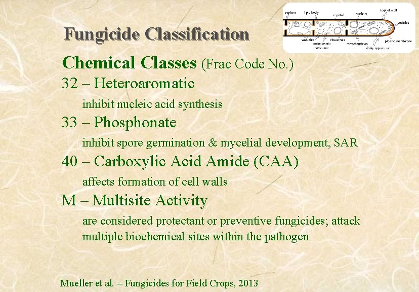 Fungicide Classification Chemical Classes (Frac Code No. ) 32 – Heteroaromatic inhibit nucleic acid