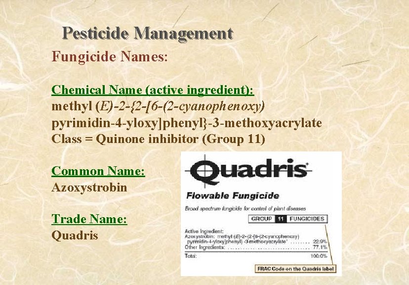 Pesticide Management Fungicide Names: Chemical Name (active ingredient): methyl (E)-2 -{2 -[6 -(2 -cyanophenoxy)