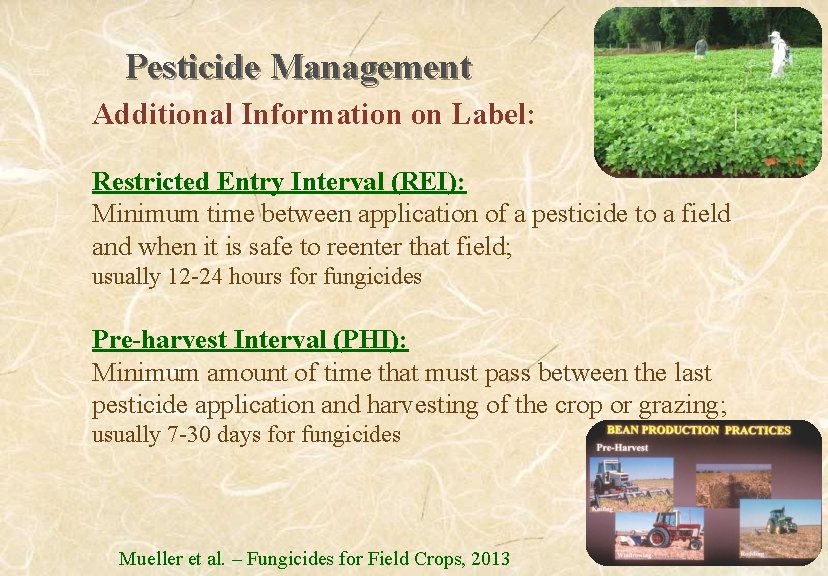 Pesticide Management Additional Information on Label: Restricted Entry Interval (REI): Minimum time between application