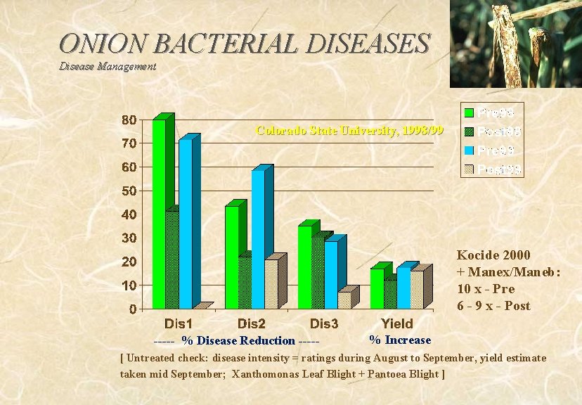 ONION BACTERIAL DISEASES Disease Management Colorado State University, 1998/99 Kocide 2000 + Manex/Maneb: 10