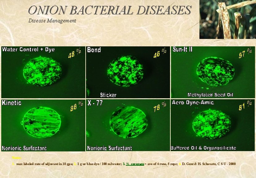 ONION BACTERIAL DISEASES Disease Management Notes: 1. max labeled rate of adjuvant in 18