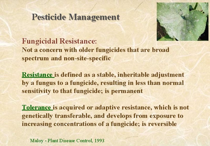 Pesticide Management Fungicidal Resistance: Not a concern with older fungicides that are broad spectrum