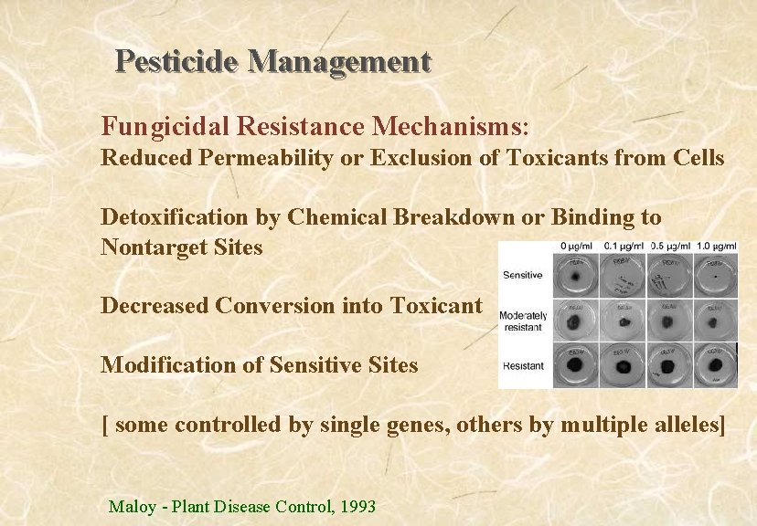 Pesticide Management Fungicidal Resistance Mechanisms: Reduced Permeability or Exclusion of Toxicants from Cells Detoxification