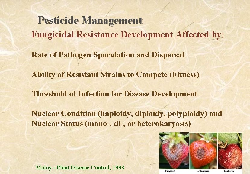 Pesticide Management Fungicidal Resistance Development Affected by: Rate of Pathogen Sporulation and Dispersal Ability